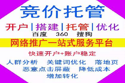 知名SEM公司案例分析：优化策略与成果